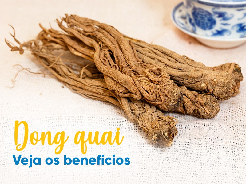 Dong Quai serve para menopausa ou endometriose? Entenda os benefcios!